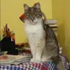 Отзыв от Ксения Герасимова